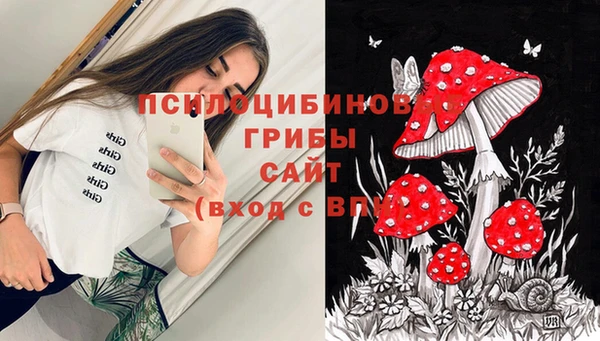 трава Заводоуковск
