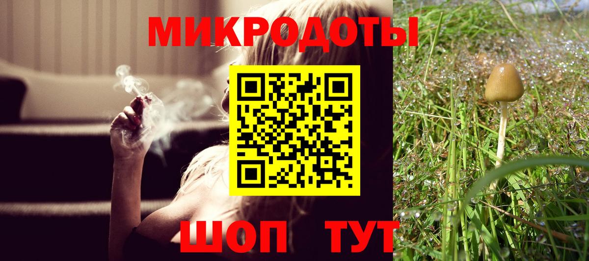 Галлюциногенные грибы мицелий  Галлюциногенные грибы Psilocybine cubensis  Вход с VPN  Зеленокумск 