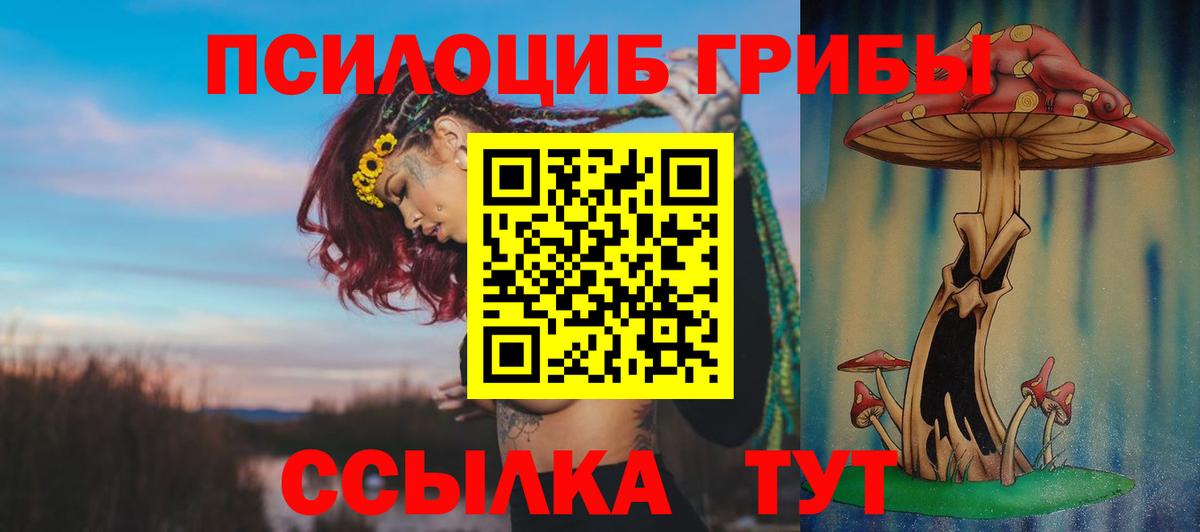 Галлюциногенные грибы Cubensis Зеленокумск